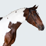 Sansa Nosebandless Bridle