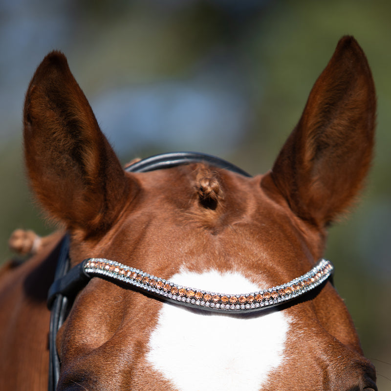 'Madeline' Rolled Leather Bridle (Cavesson)