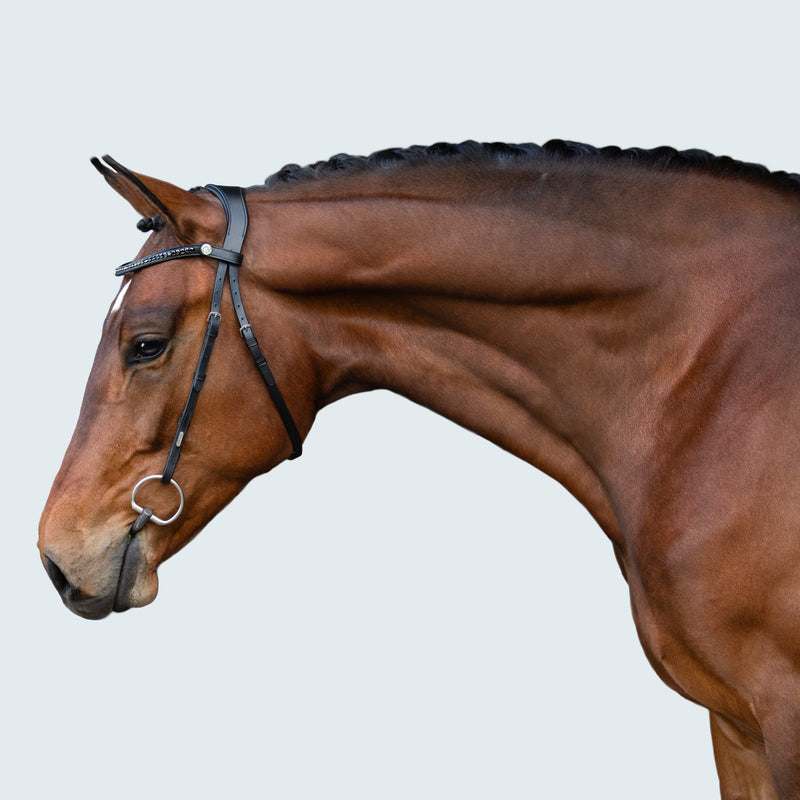 Sienna Nosebandless Bridle