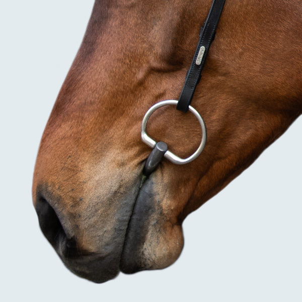 Sienna Nosebandless Bridle