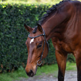 Sienna Nosebandless Bridle