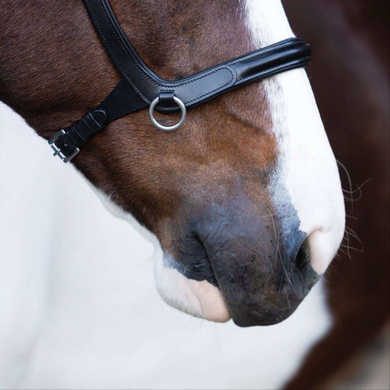 Santiago Bitless Bridle