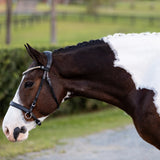 Seline Bitless Bridle