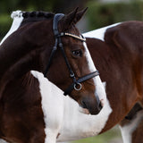 Seline Bitless Bridle