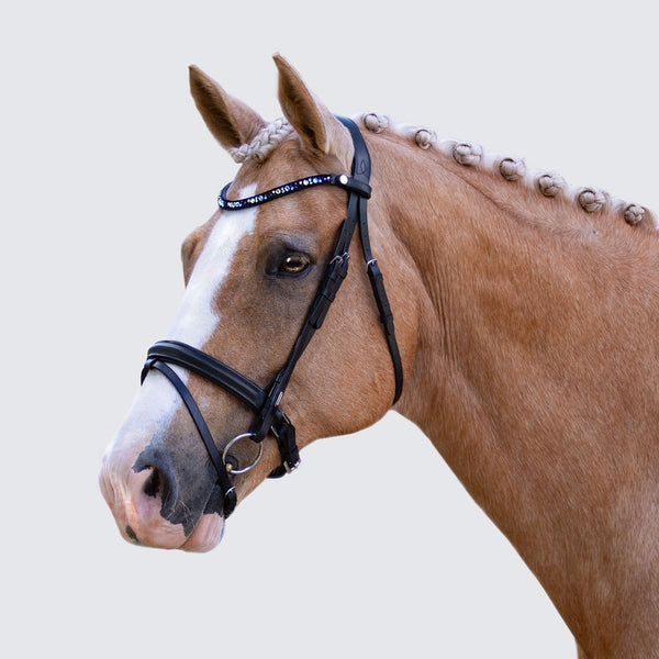 Demi bridle
