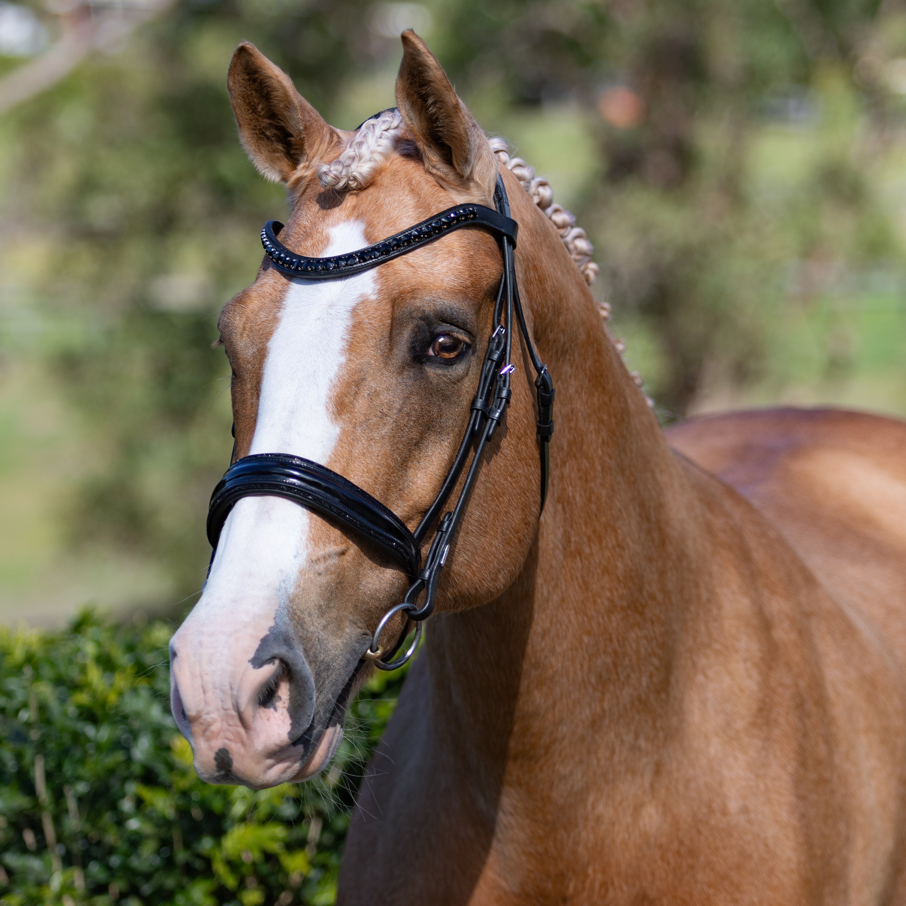 'Arcadia' Luxury Leather Bridle (Cavesson) - Lumiere Equestrian