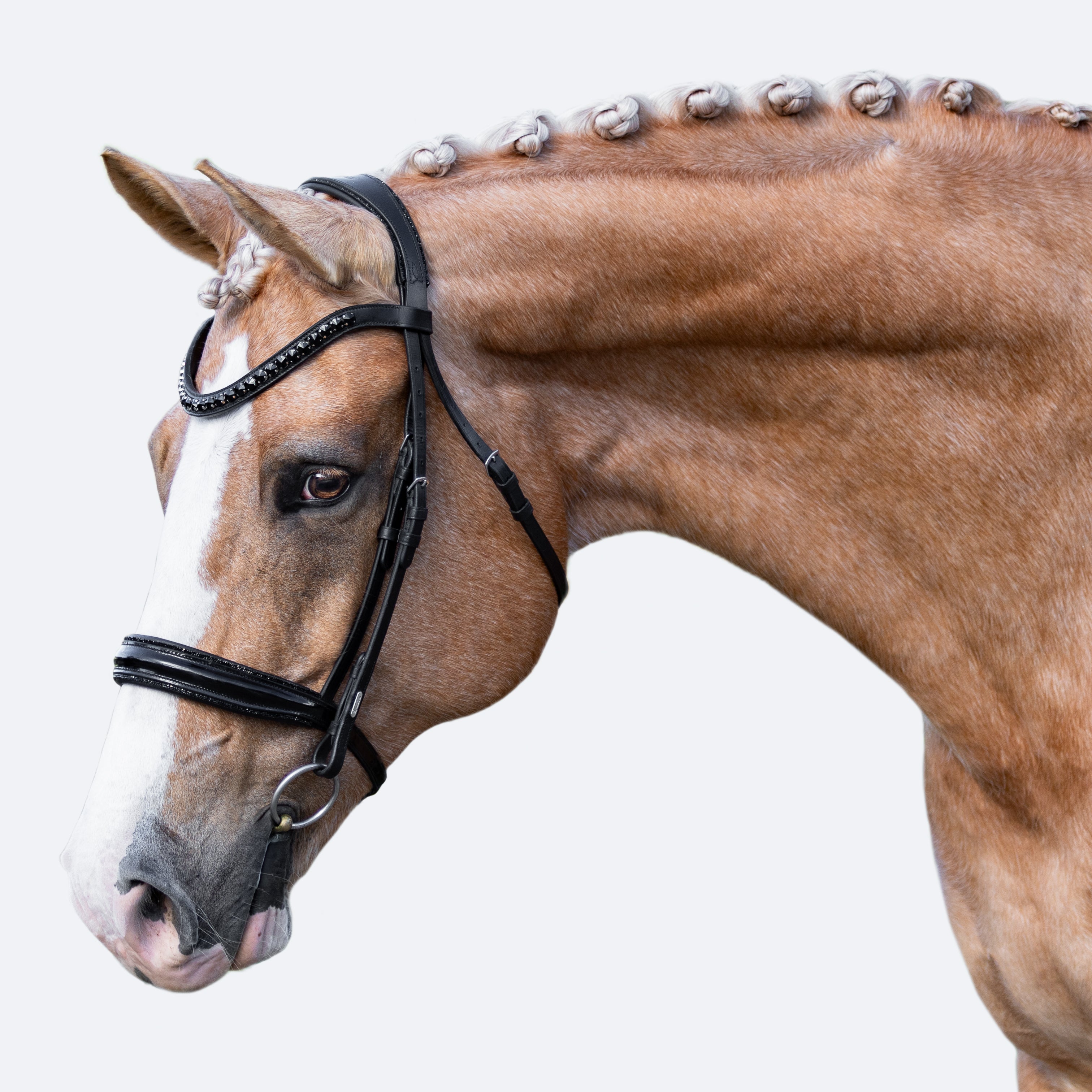 'Arcadia' Luxury Leather Bridle (Cavesson) - Lumiere Equestrian