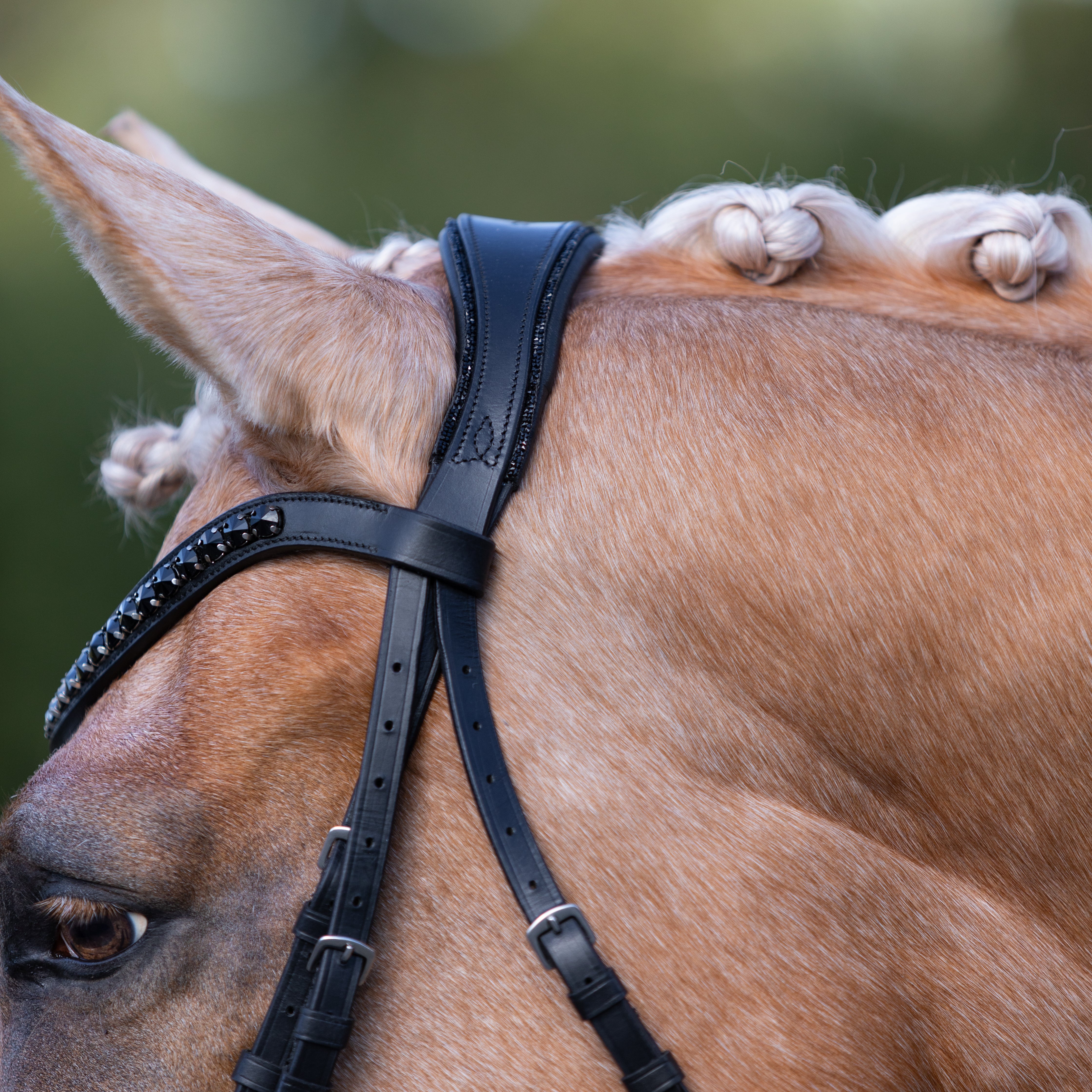 'Arcadia' Luxury Leather Bridle (Cavesson) - Lumiere Equestrian