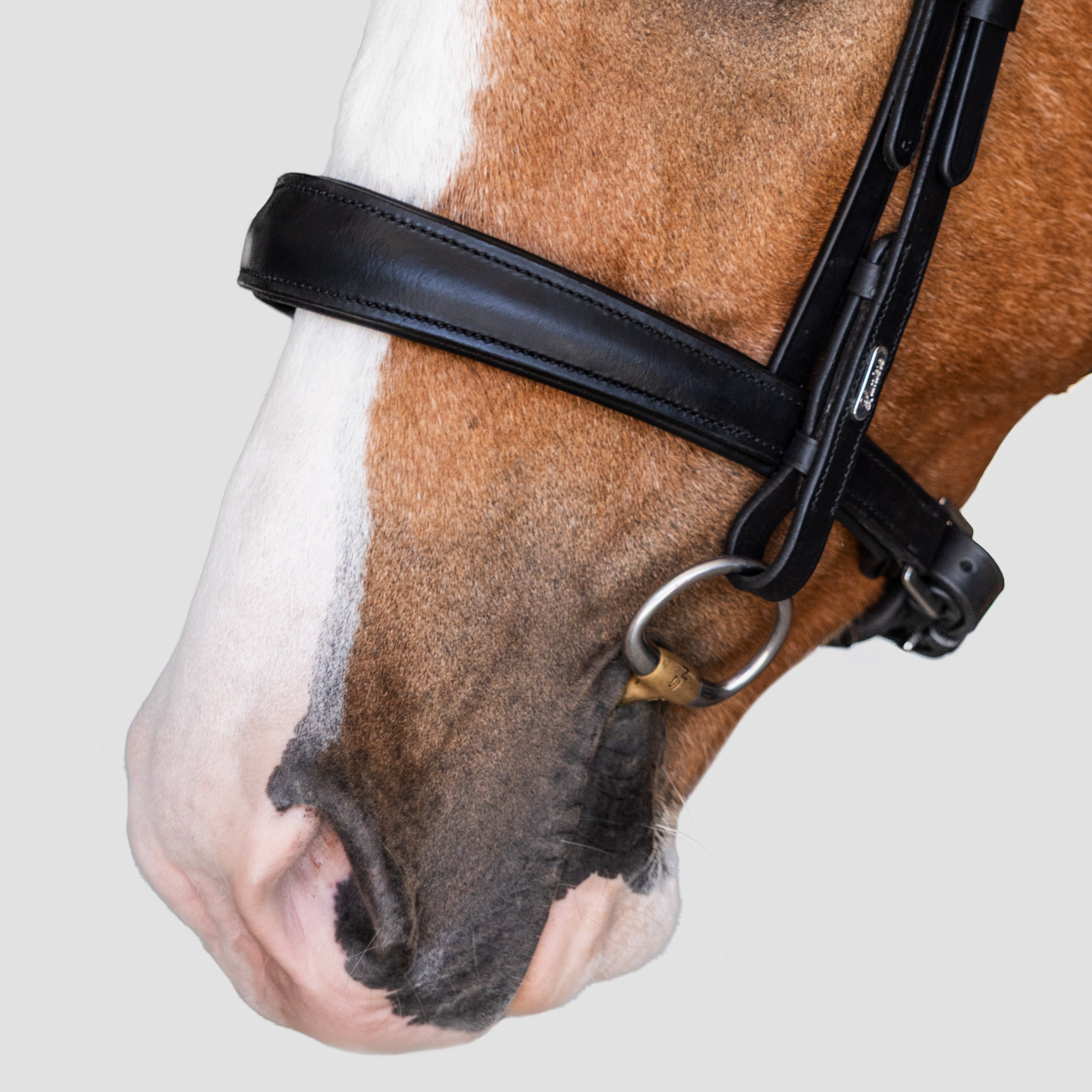 'Athens' leather bridle (snaffle)