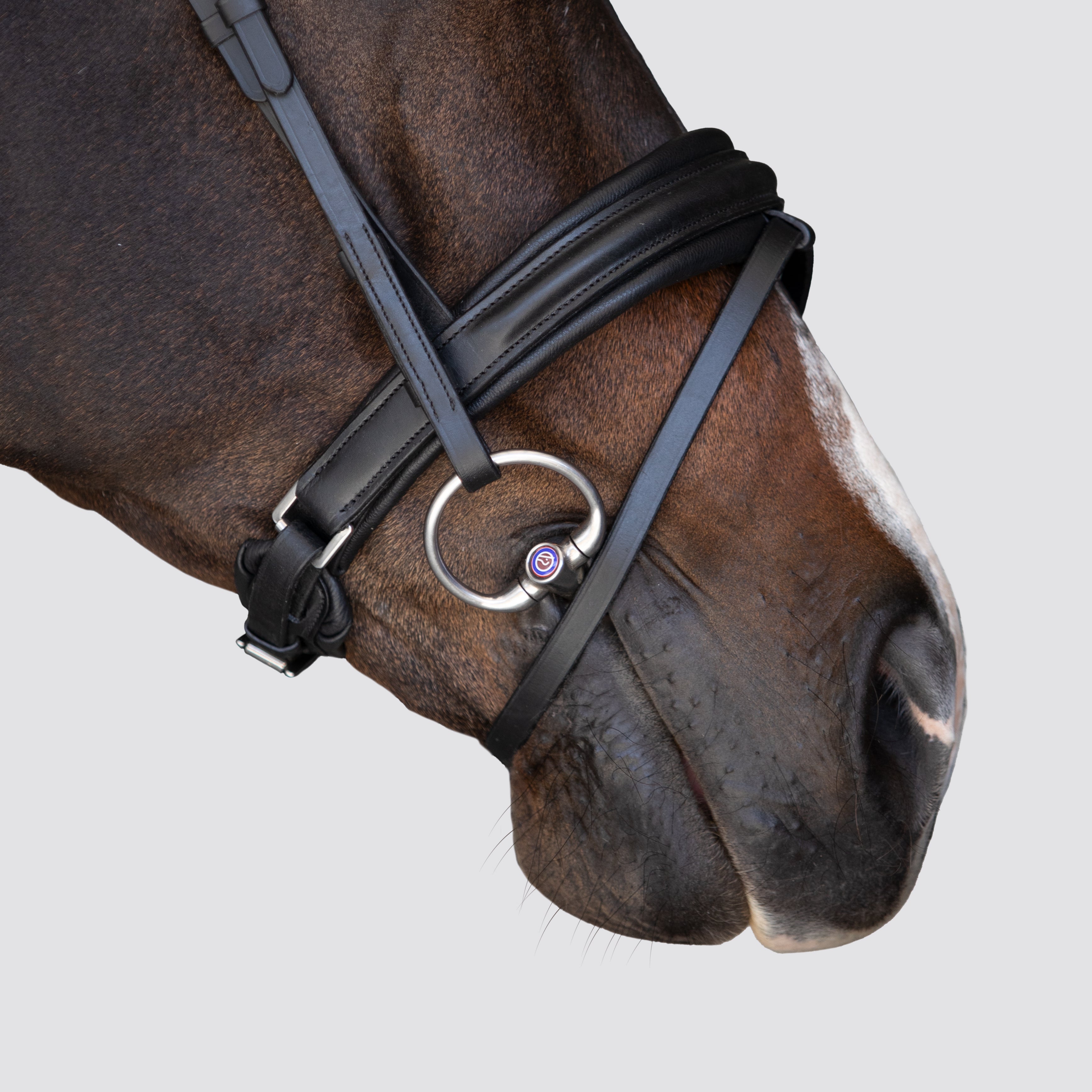 'Melodie' classic bridle