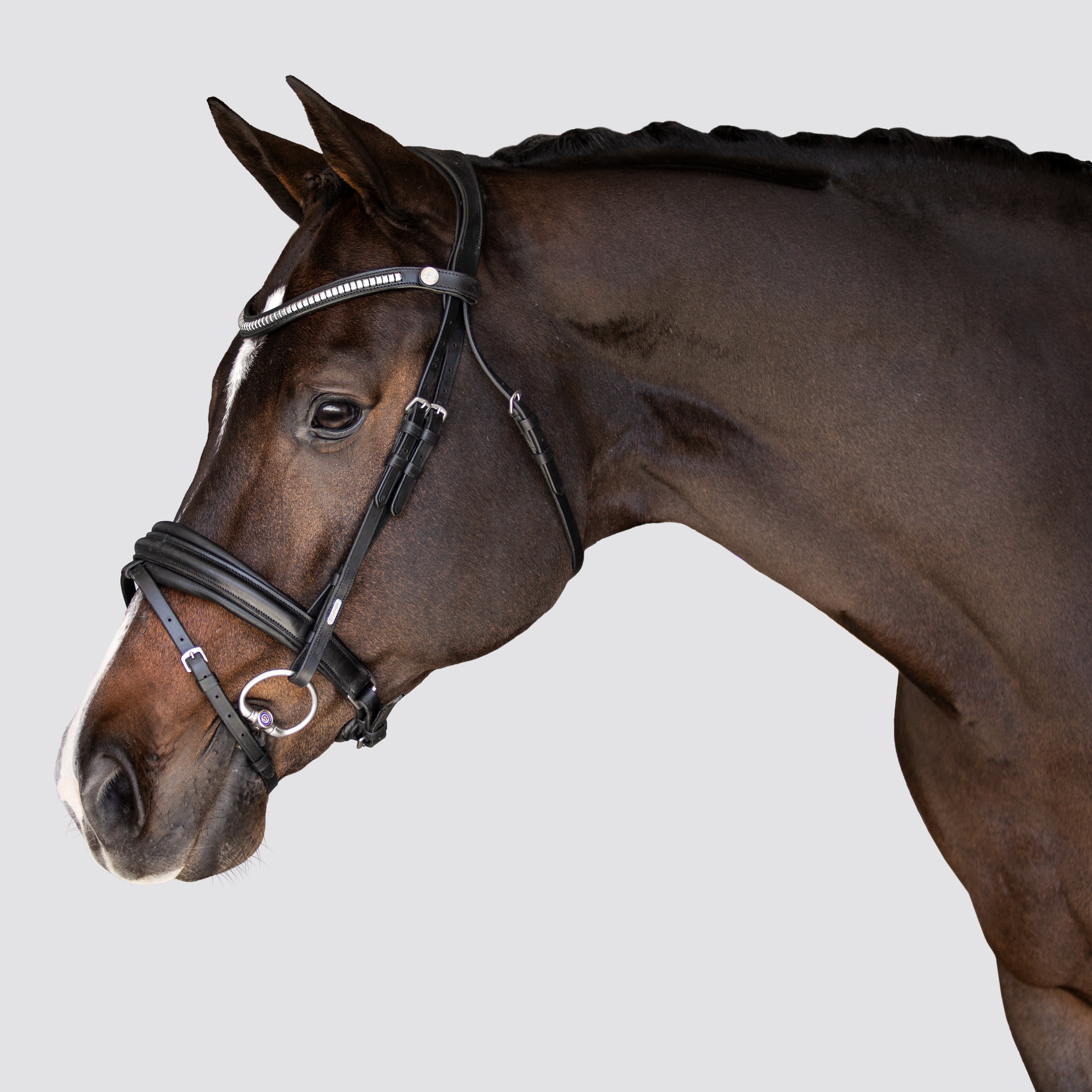 'Melodie' classic bridle