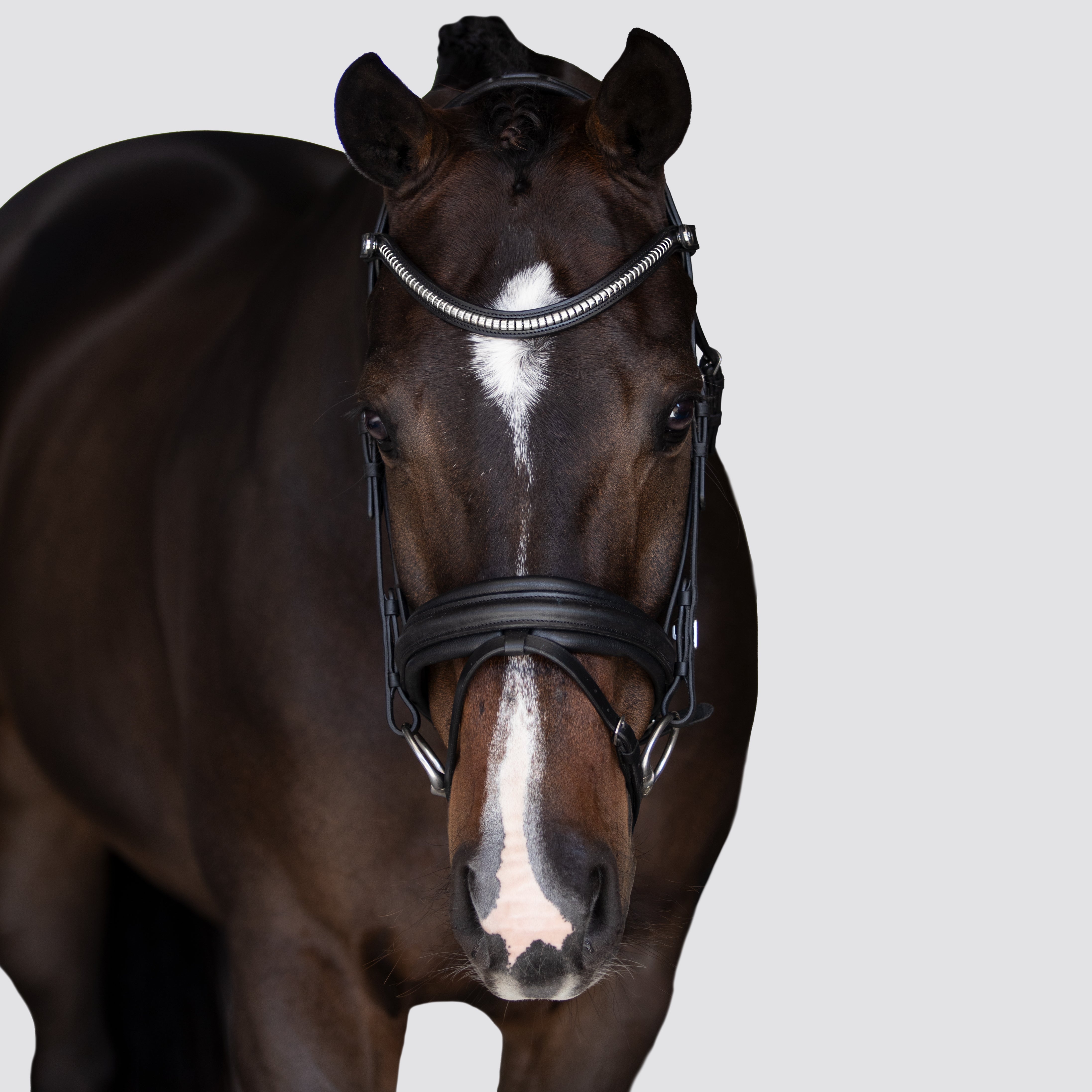 'Melodie' classic bridle