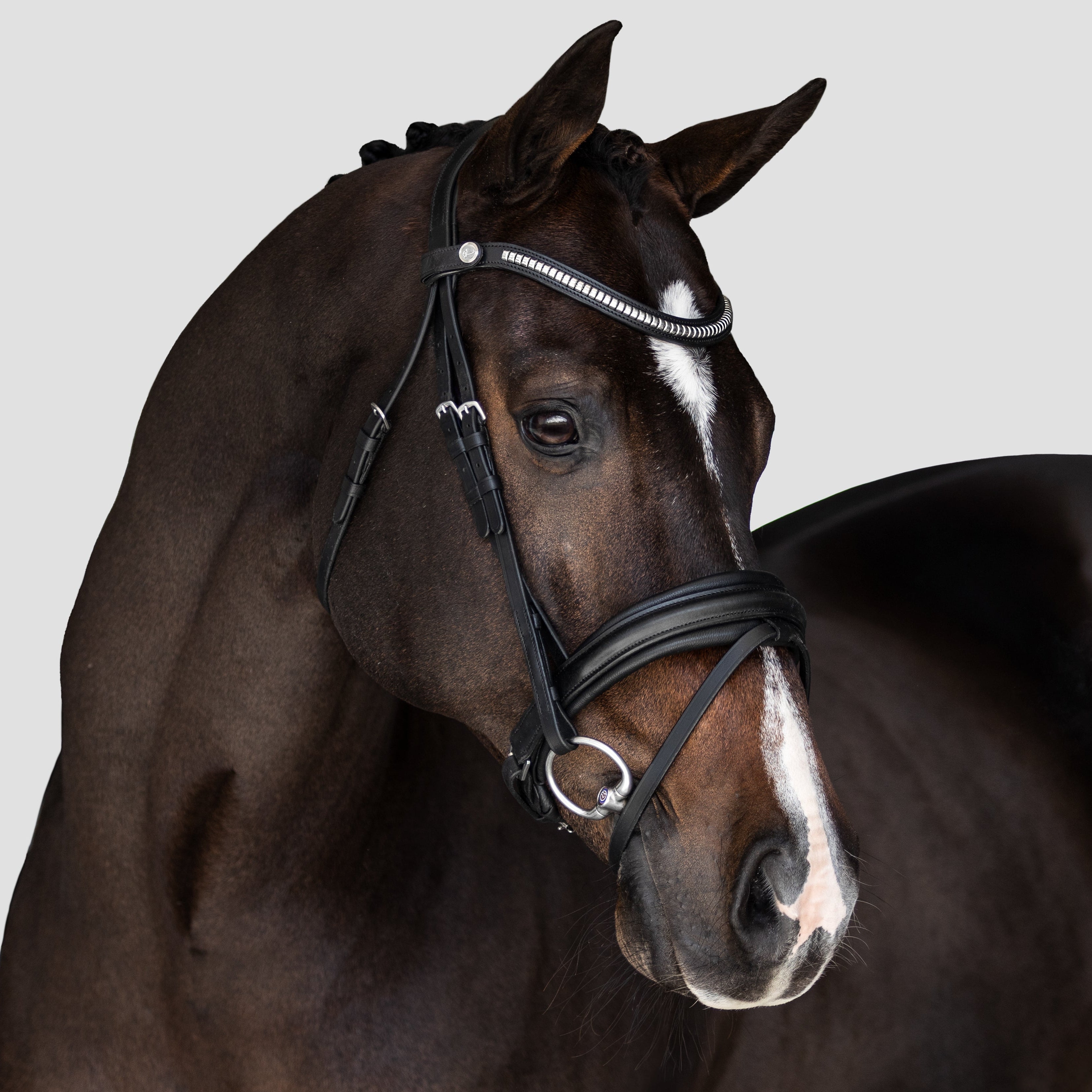 'Melodie' classic bridle