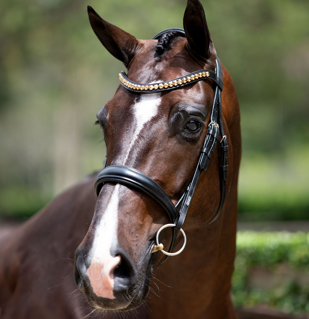 'Athens' leather bridle (snaffle) - Lumiere Equestrian