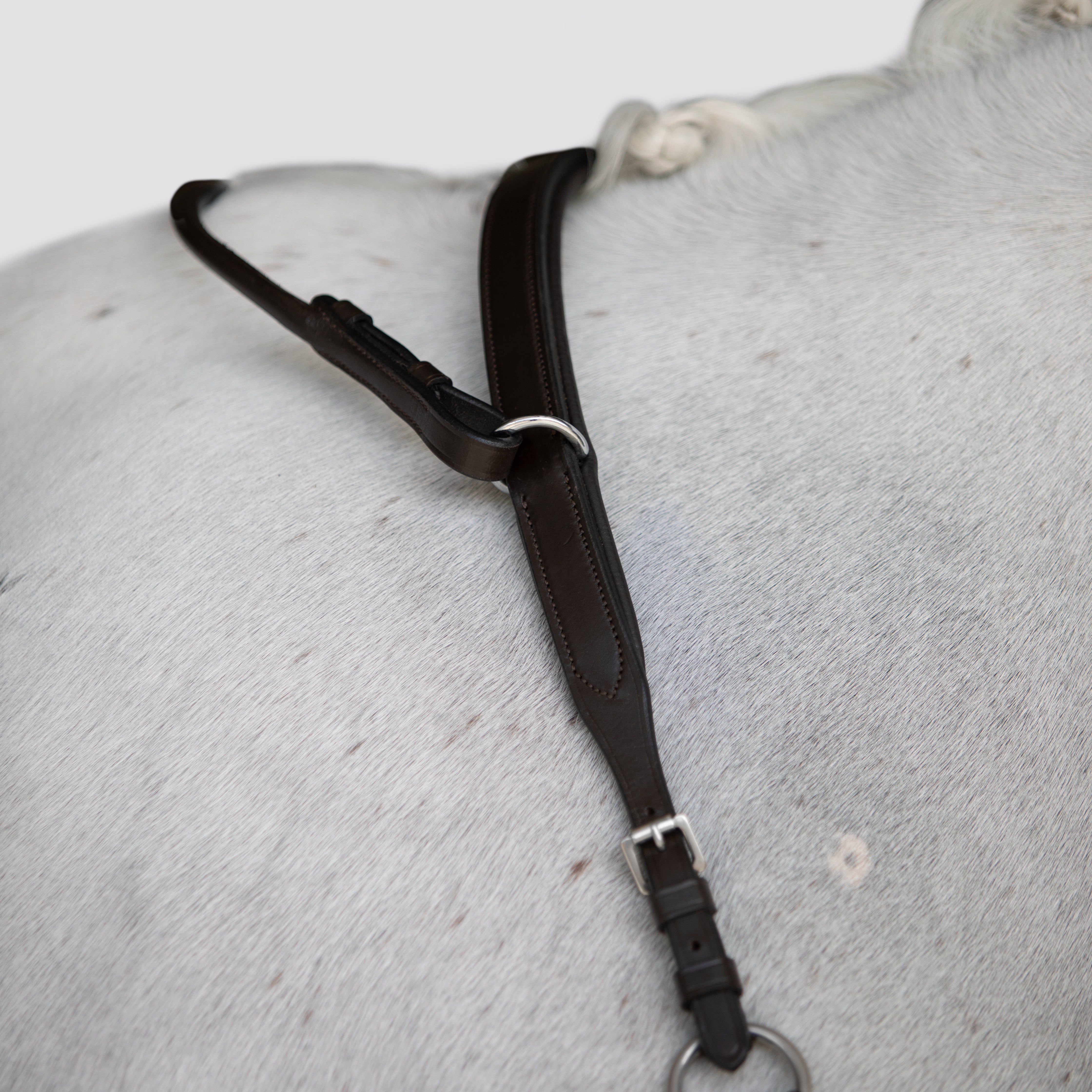 Parker bridge breastplate