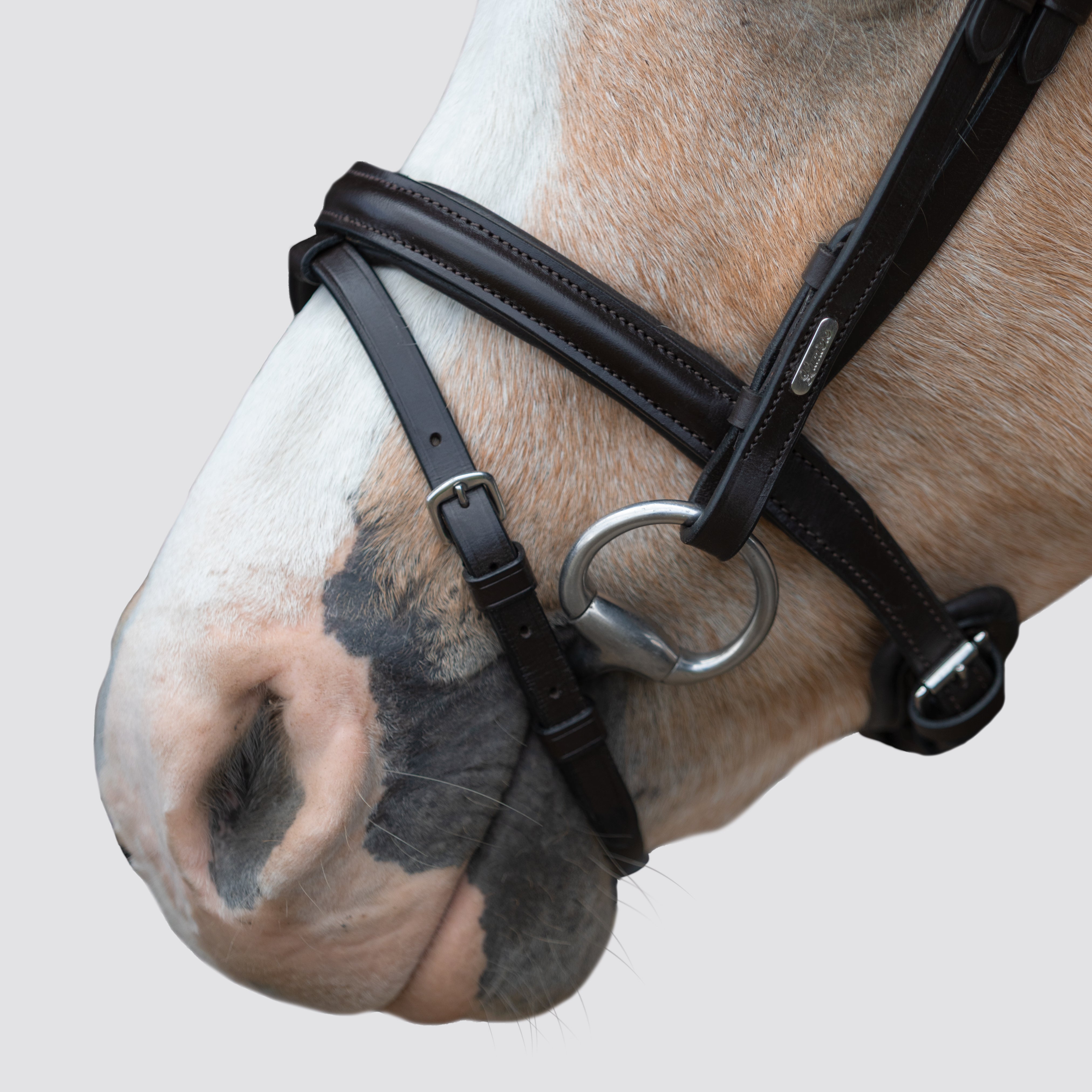 Pera bridle (Lumi Pony)