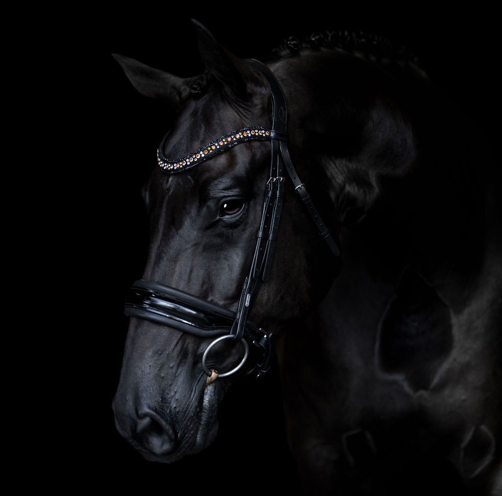 'Ariana' bridle (cavesson) - Lumiere Equestrian