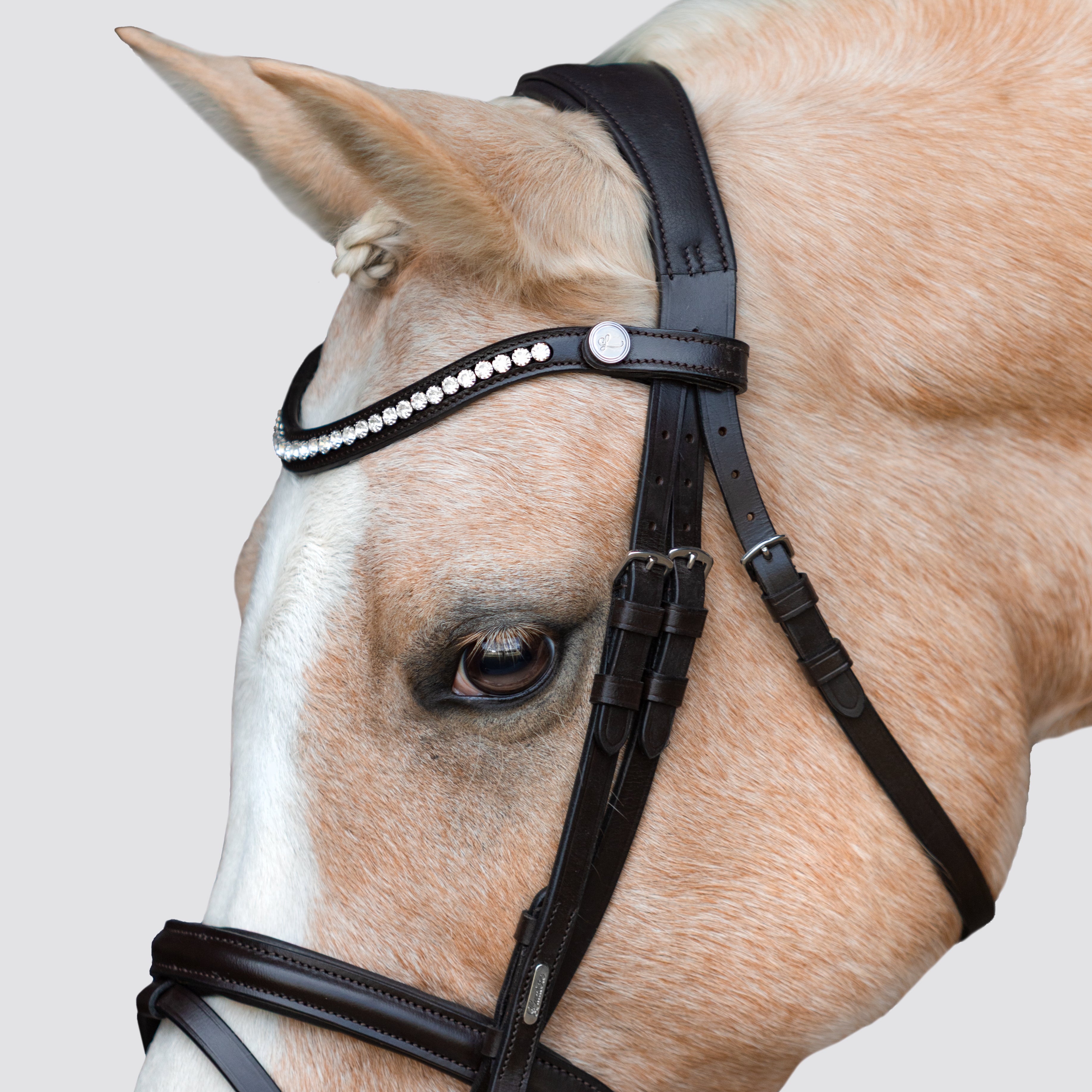 Pera bridle (Lumi Pony)