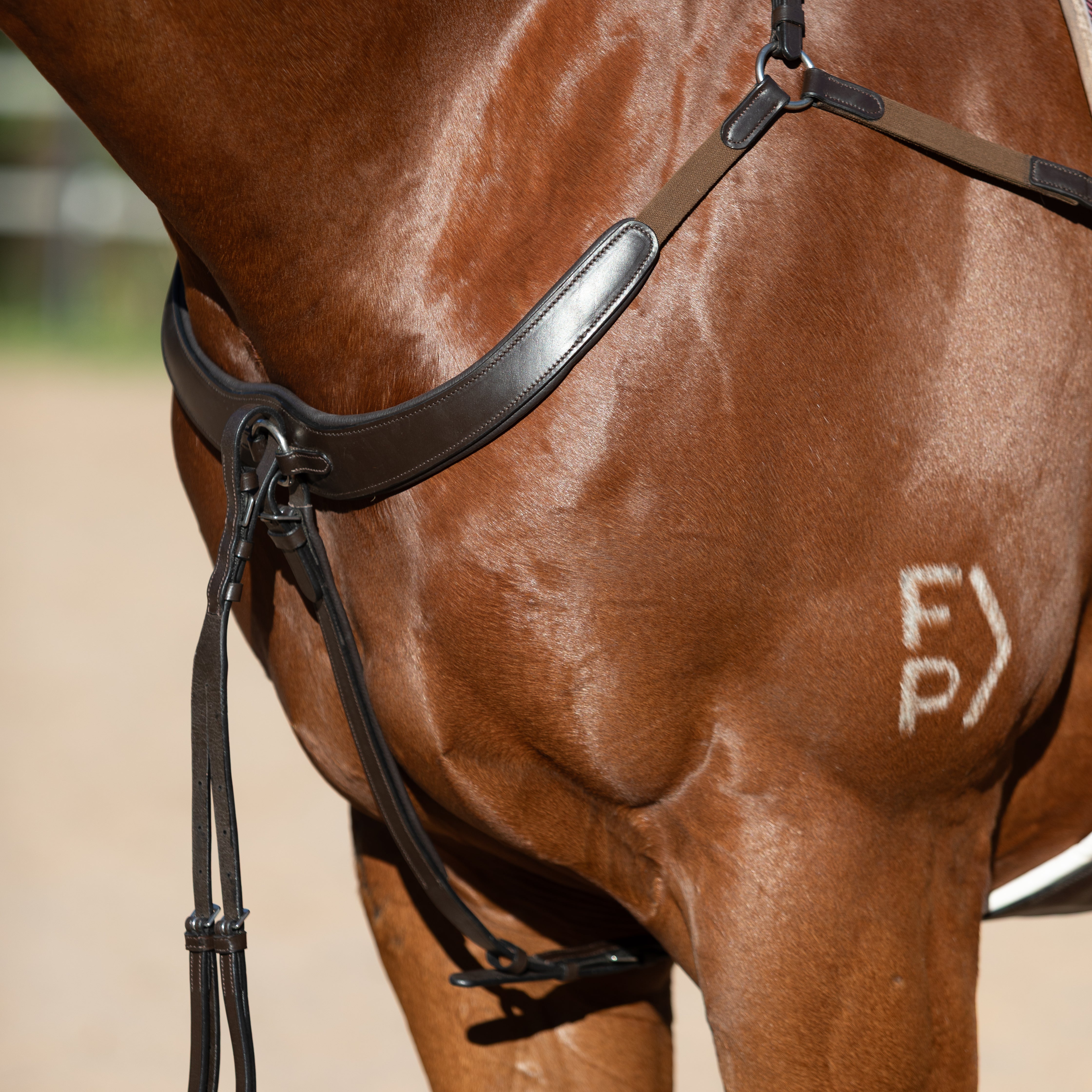 Parker bridge breastplate