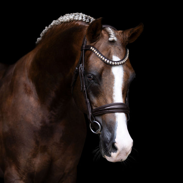 'Athens' leather bridle (snaffle)