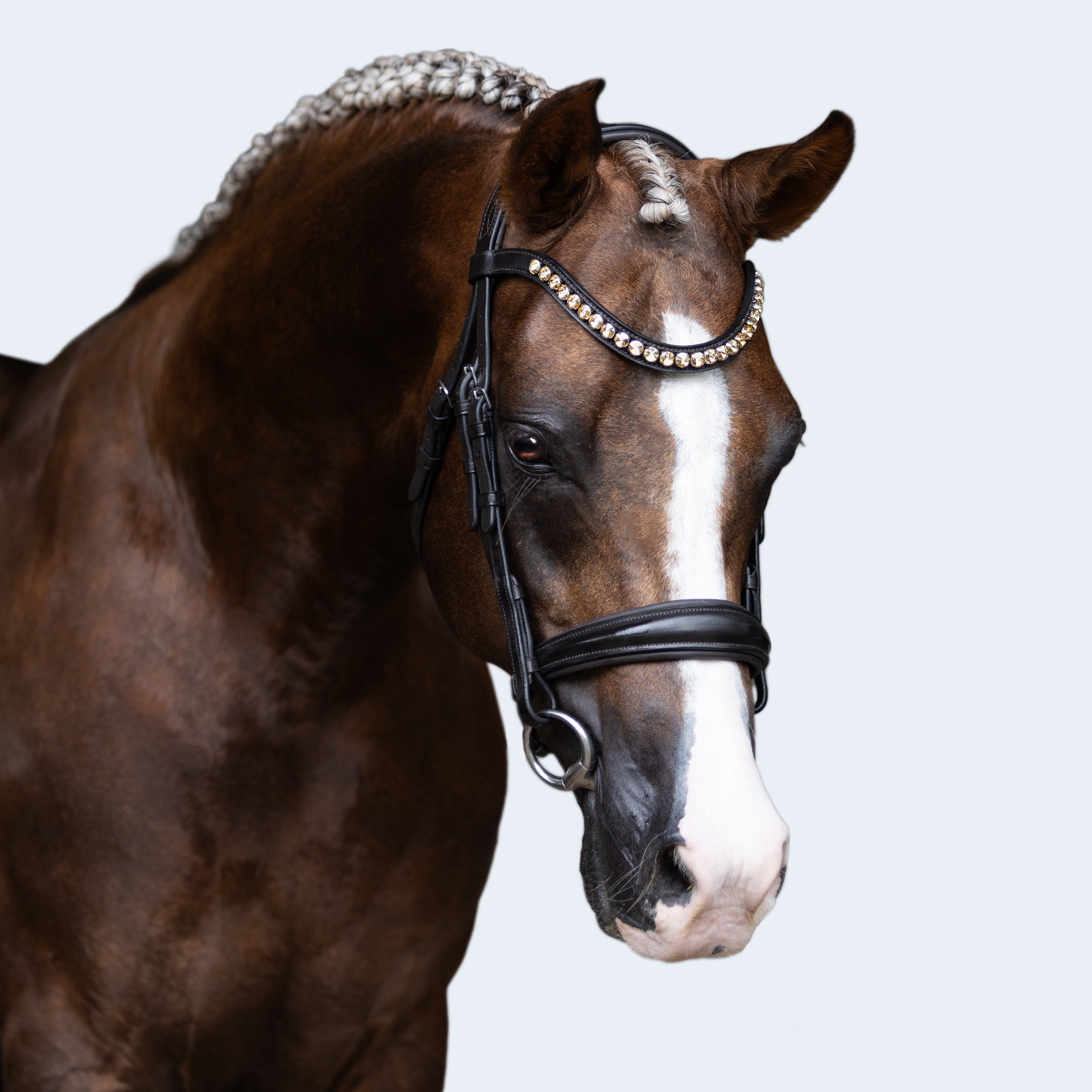 'Athens' leather bridle (snaffle) (Lumi Pony) - Lumiere Equestrian