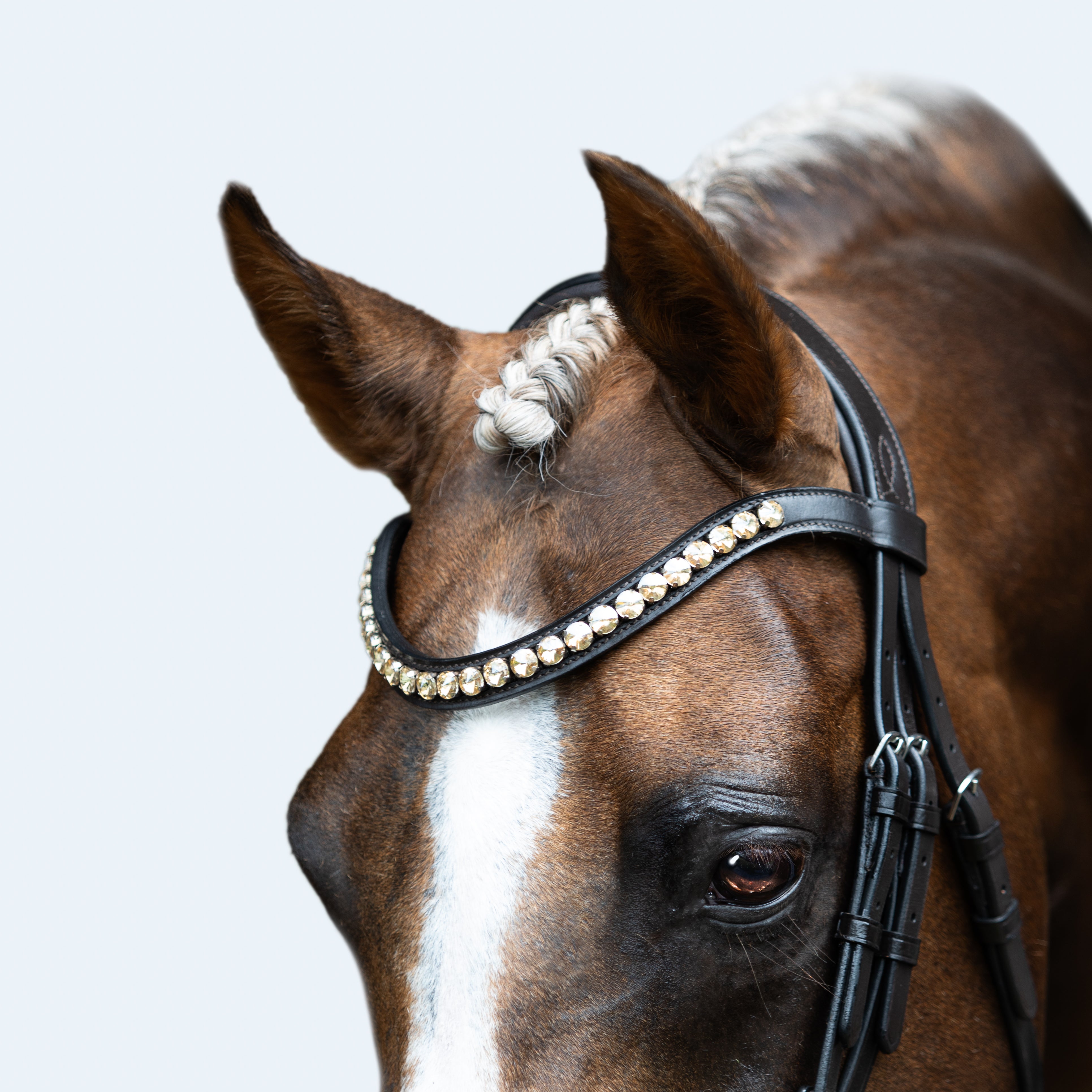 'Athens' leather bridle (snaffle) (Lumi Pony) - Lumiere Equestrian