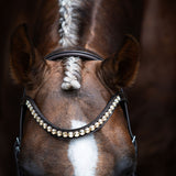 'Athens' leather bridle (snaffle)