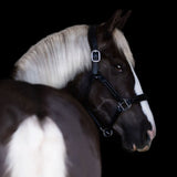 'Allegra' leather halter (no name plate) - WB only clearance
