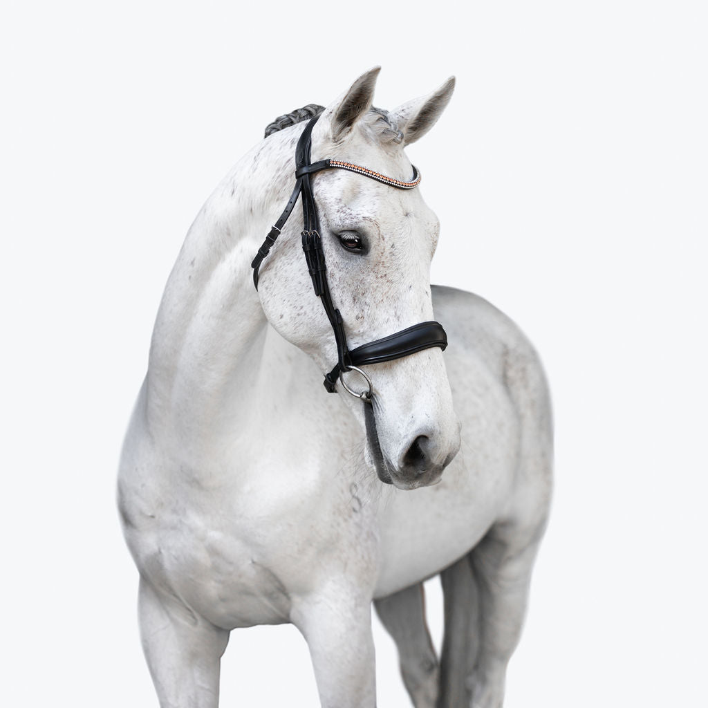'Madeline' Rolled Leather Bridle (Cavesson) - Lumiere Equestrian