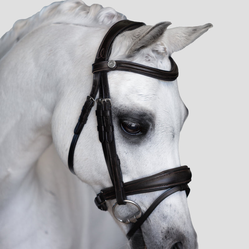 'Mikayla' Leather Bridle (Convertible) (Lumi Pony)