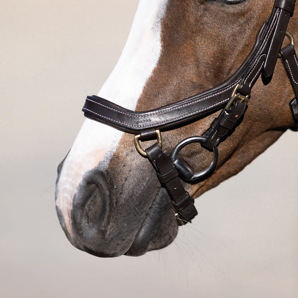 'Amber' Anatomic Leather Bridle (Lumi Pony) Clearance - Lumiere Equestrian