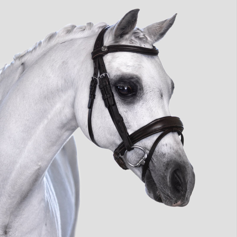 'Mikayla' Leather Bridle (Convertible) (Lumi Pony)