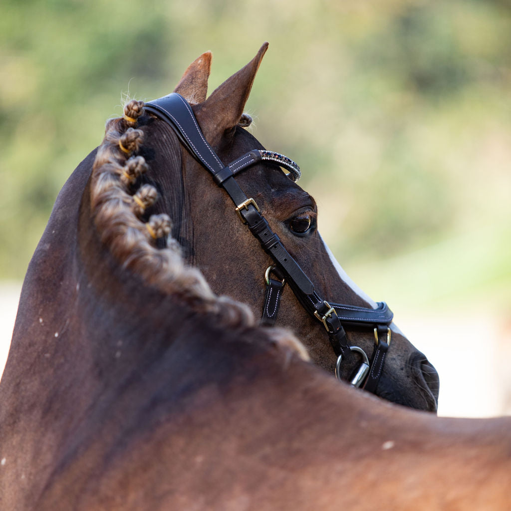 'Amber' Anatomic Leather Bridle (Lumi Pony) Clearance - Lumiere Equestrian