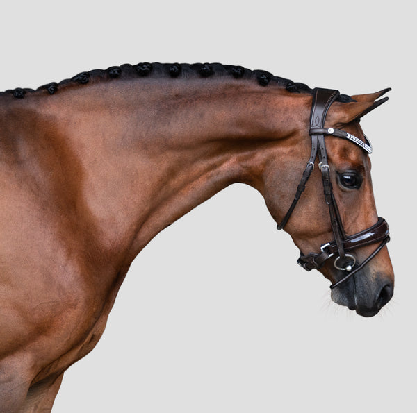 'Amie' Rolled Leather Bridle (Hanoverian) (Lumi Pony)