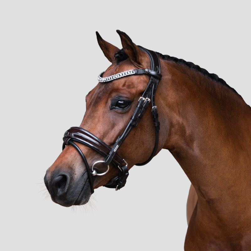 'Amie' Rolled Leather Bridle (Hanoverian) (Lumi Pony)
