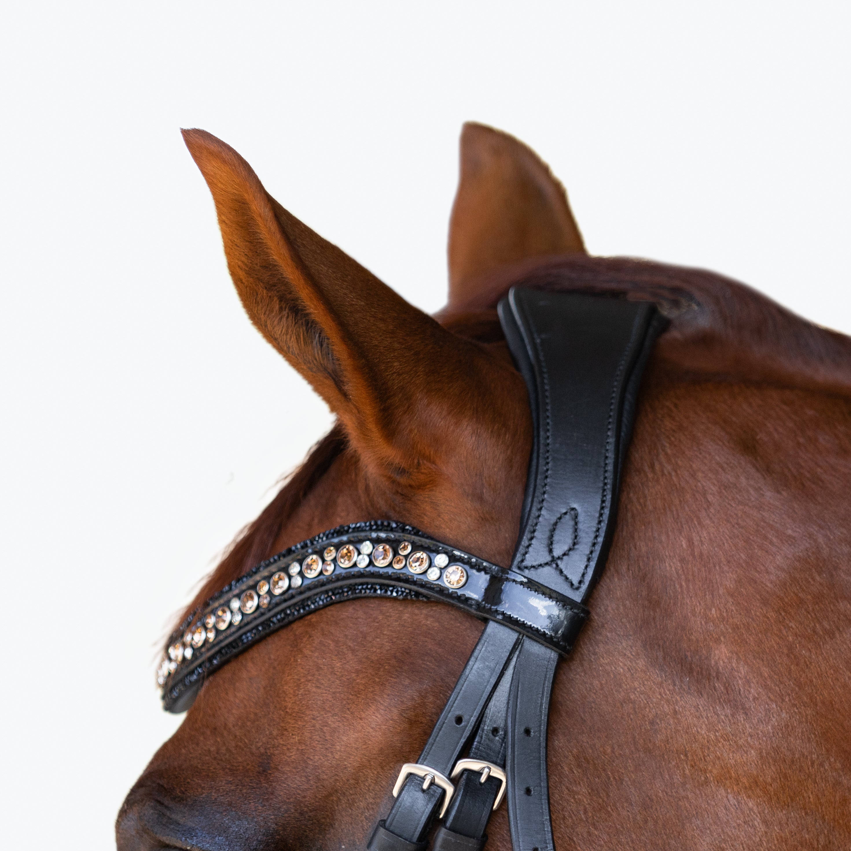 'Ariana' bridle (cavesson) - Lumiere Equestrian