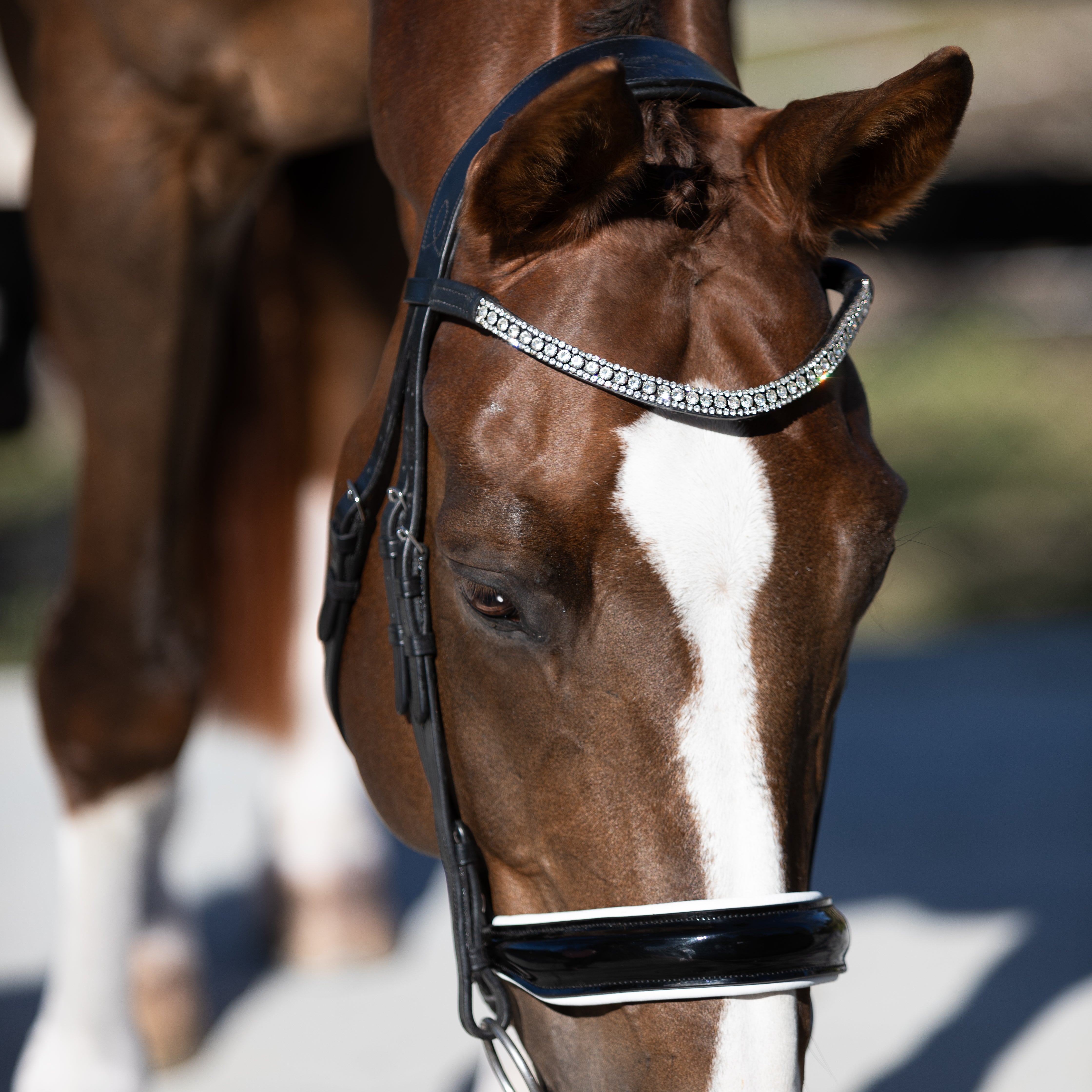 'Adeline' Leather Bridle (Cavesson) - Lumiere Equestrian