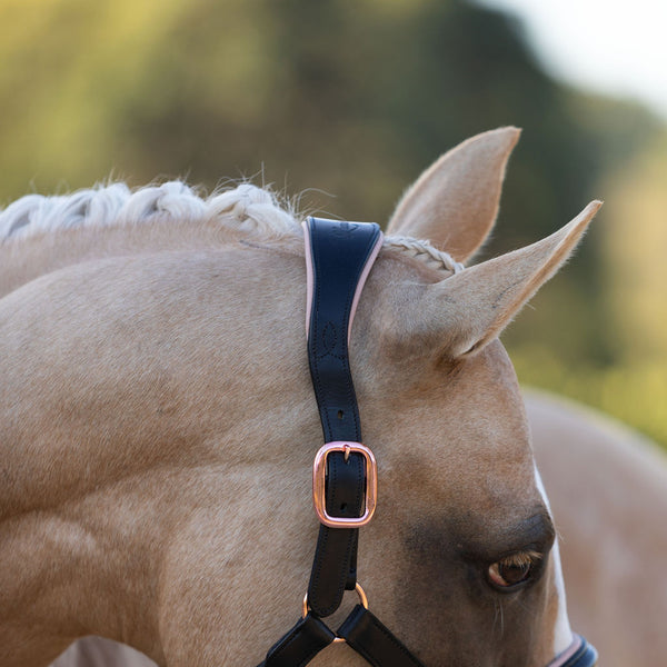 'Hollywood' leather halter