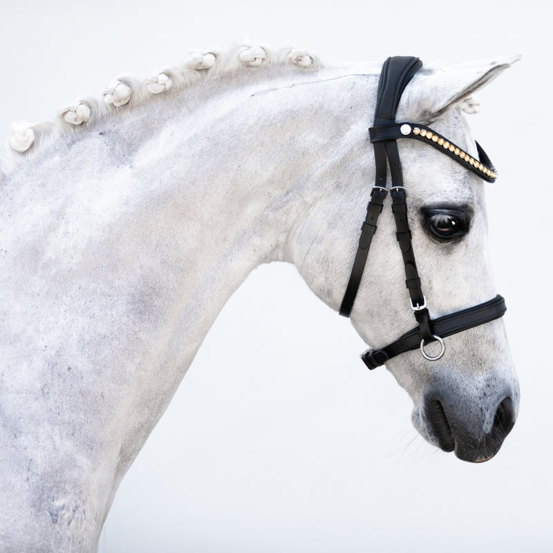 Iddy Biddy Bitless bridle (Lumi Pony) Clearance