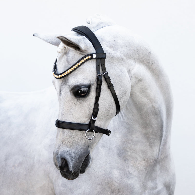 Iddy Biddy Bitless bridle (Lumi Pony) Clearance