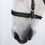 Iddy Biddy Bitless bridle (Lumi Pony) Clearance