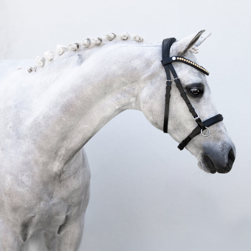 Iddy Biddy Bitless bridle (Lumi Pony) Clearance