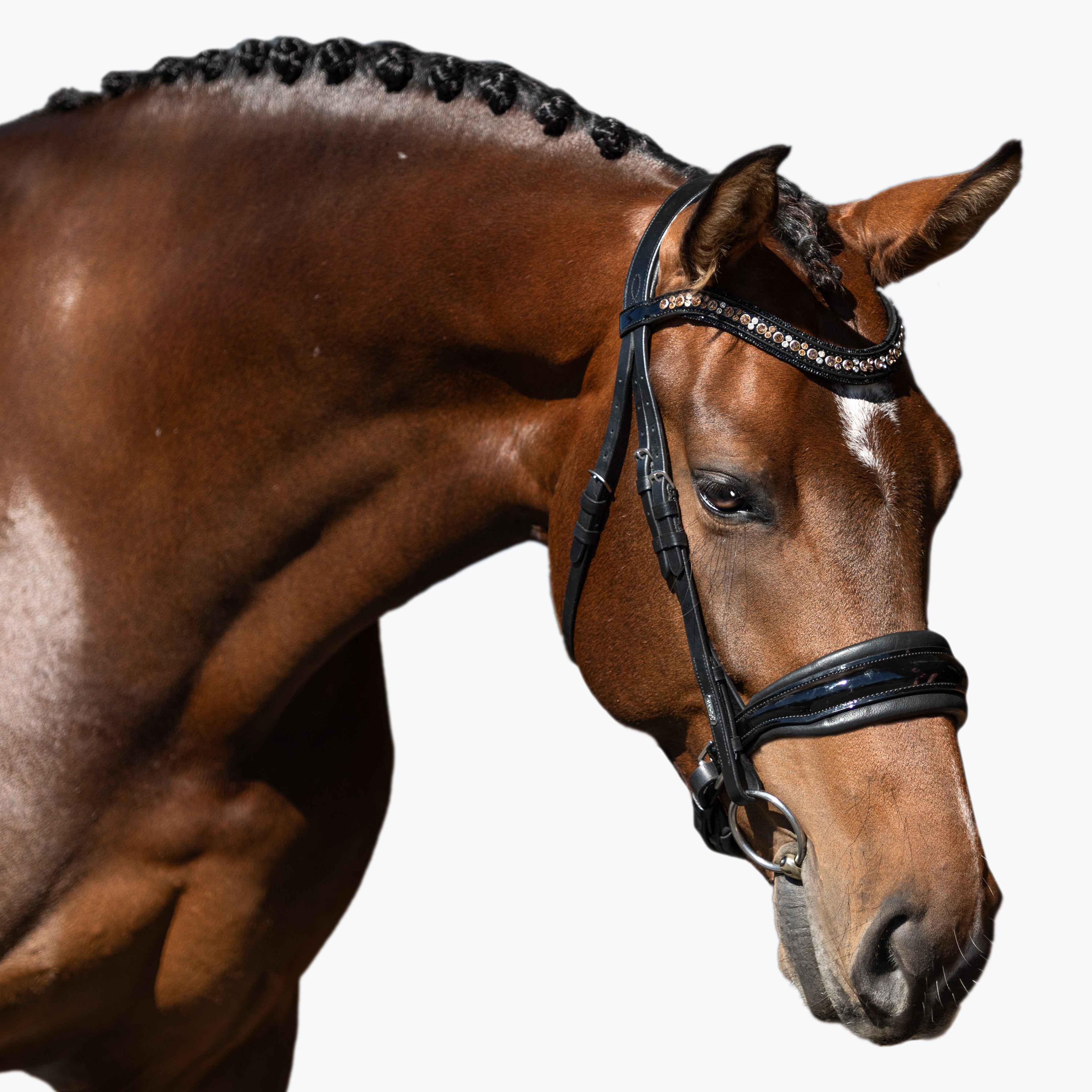 'Ariana' bridle (cavesson) - Lumiere Equestrian
