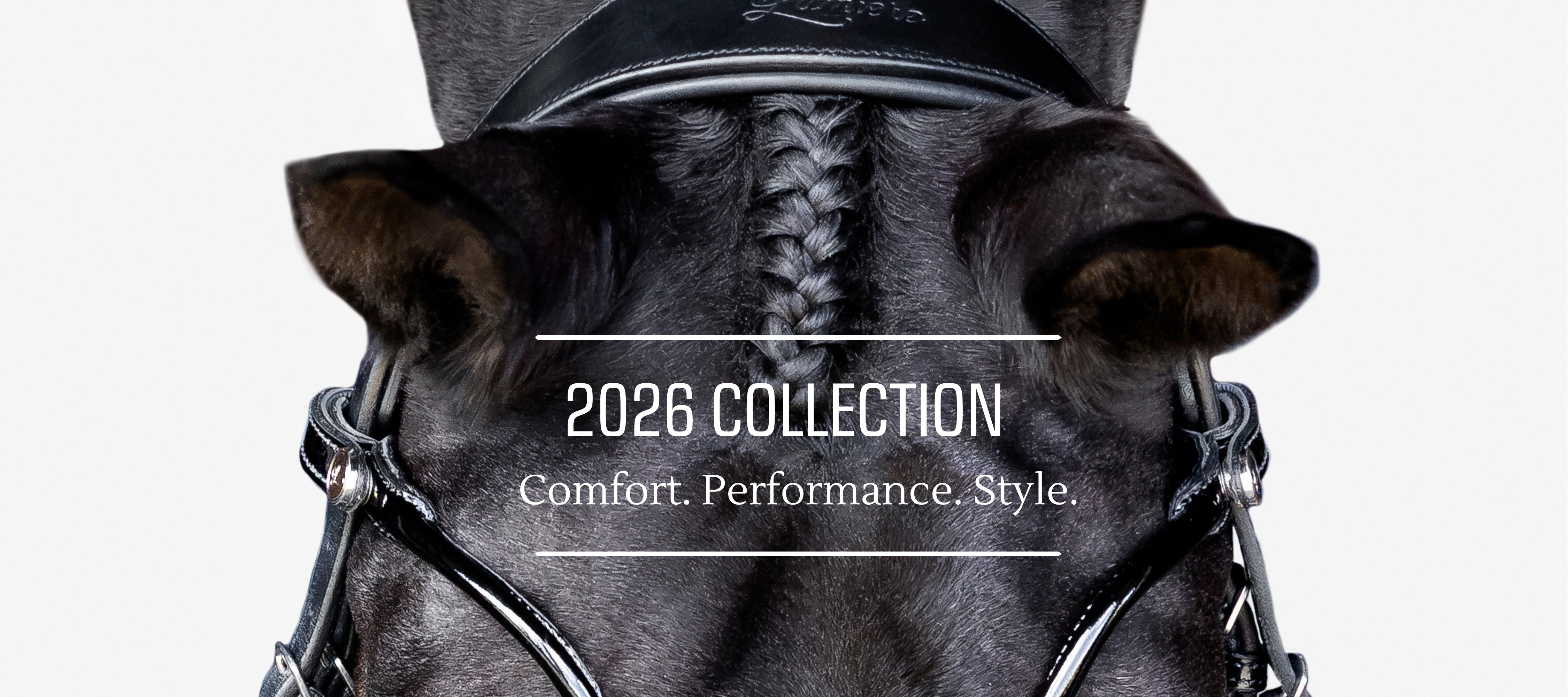 Lumiere Equestrian | Official Website
