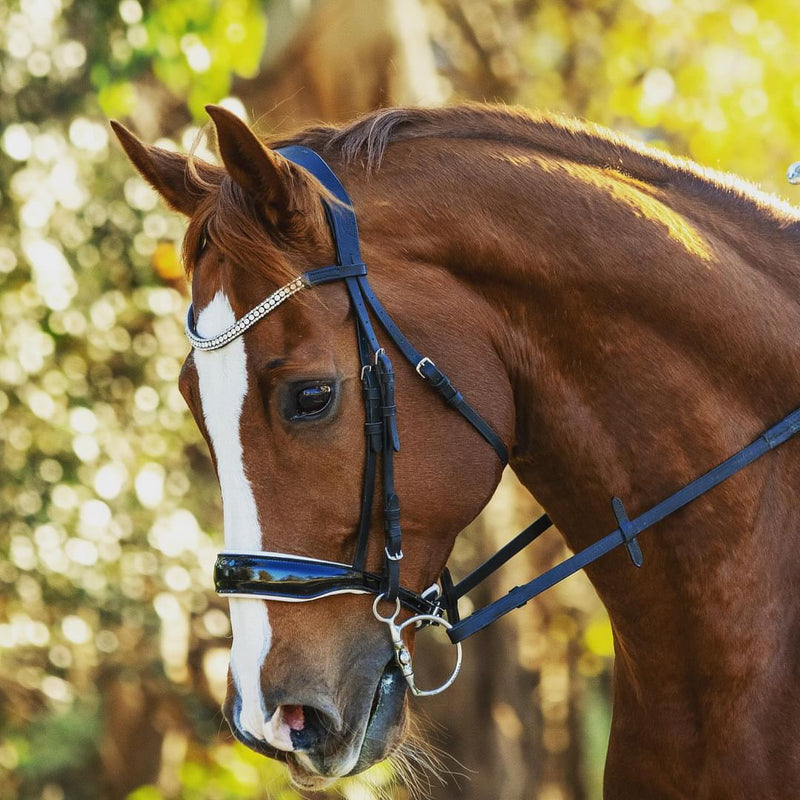 'Adeline' Leather Bridle (Cavesson)