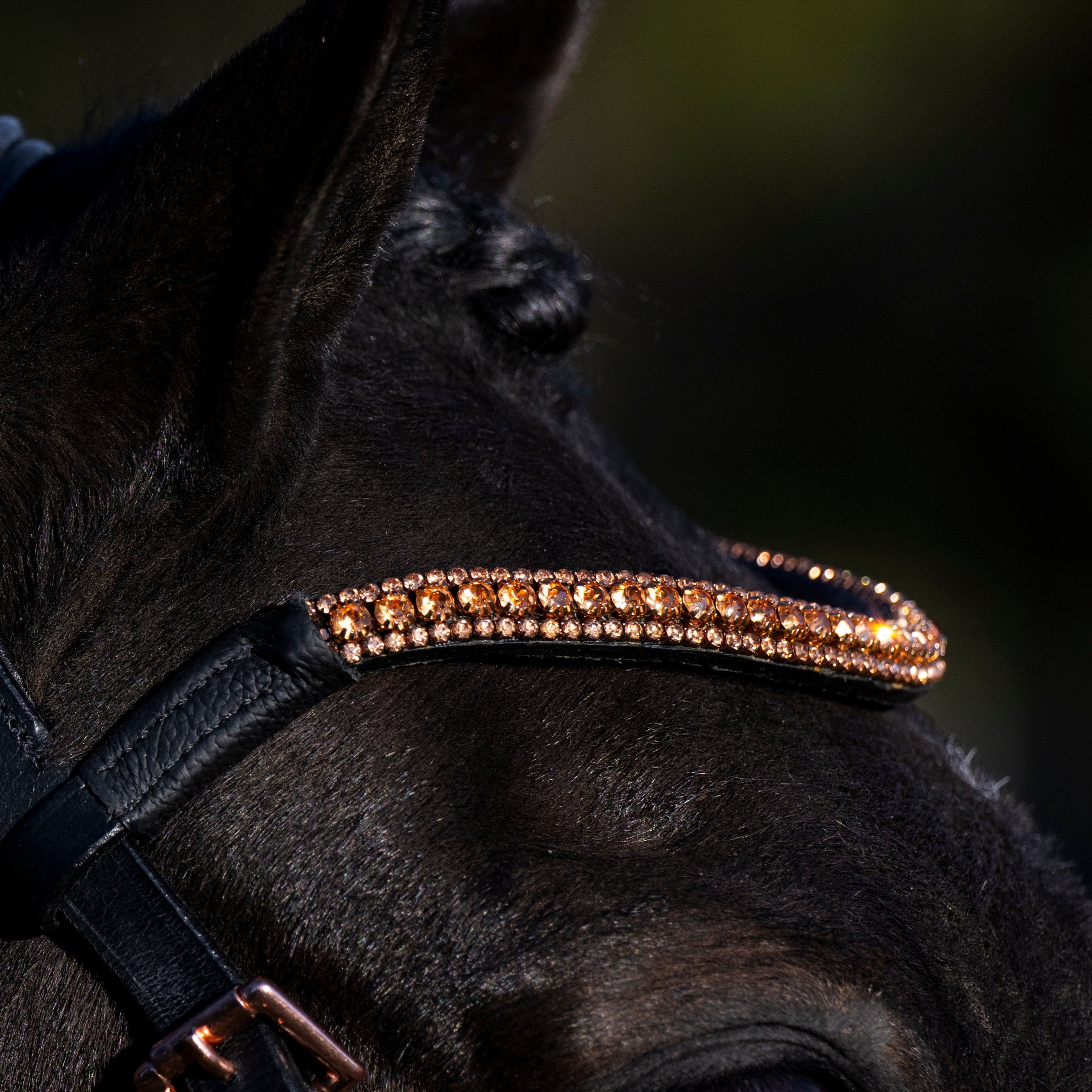 Rose gold crystal browband - Lumiere Equestrian