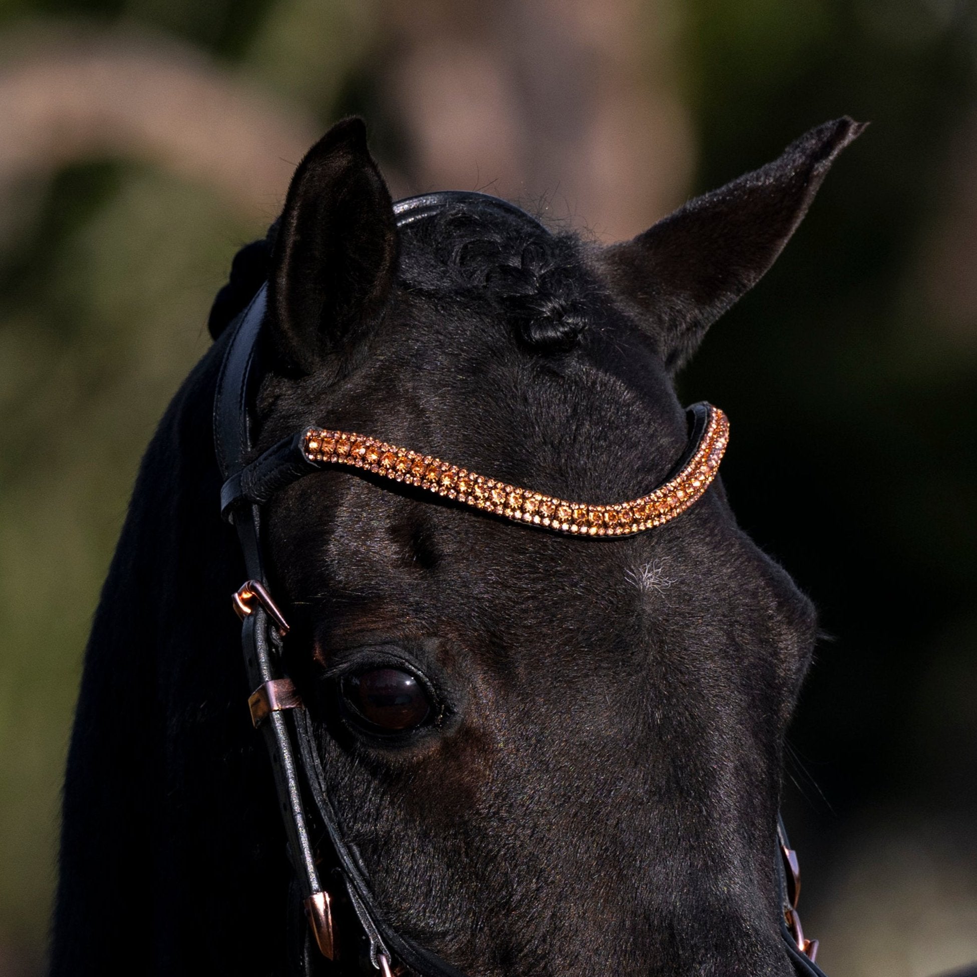 Rose gold crystal browband - Lumiere Equestrian