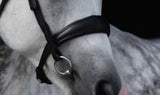 Abigail Noseband - Seconds