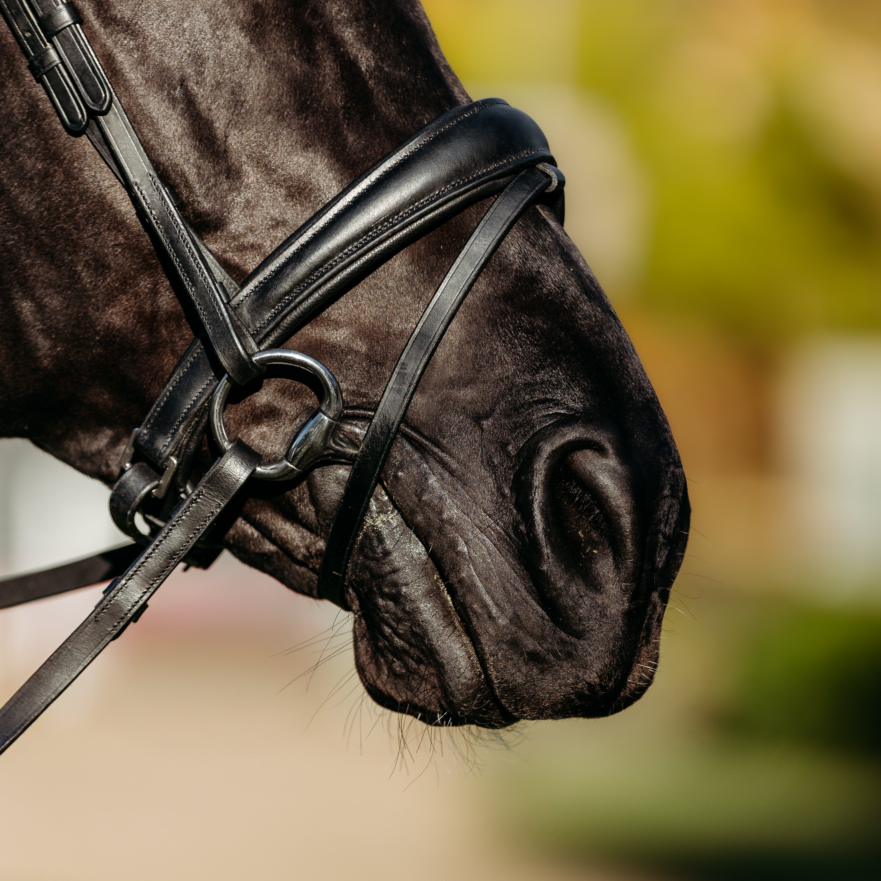 Abigail Convertible Italian Leather Bridle – Black - Lumiere USA