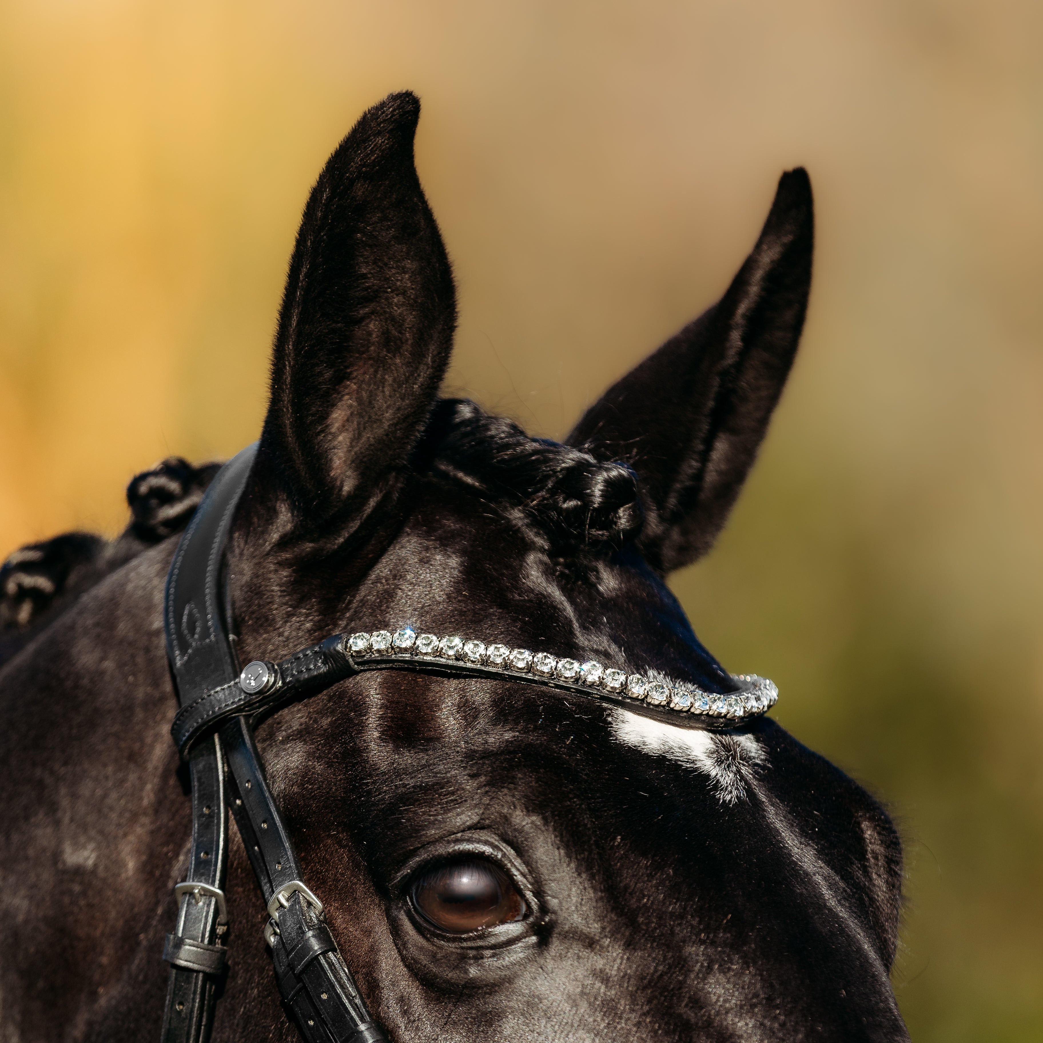 andwang Lumière Bicolor Twin Set black Abigail Convertible Italian Leather Bridle – Black - Lumiere USA